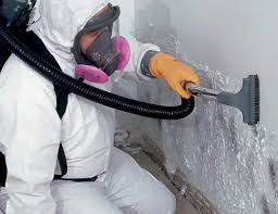 Mold Removal for HVAC Installations in Waterflow, NM